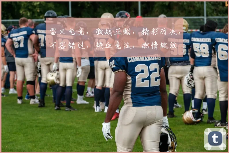 雷火电竞，激战正酣，精彩对决，不容错过，热血竞技，燃情绽放