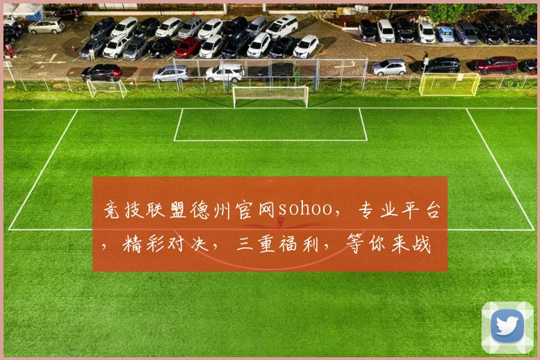 竞技联盟德州官网sohoo，专业平台，精彩对决，三重福利，等你来战，体验非凡