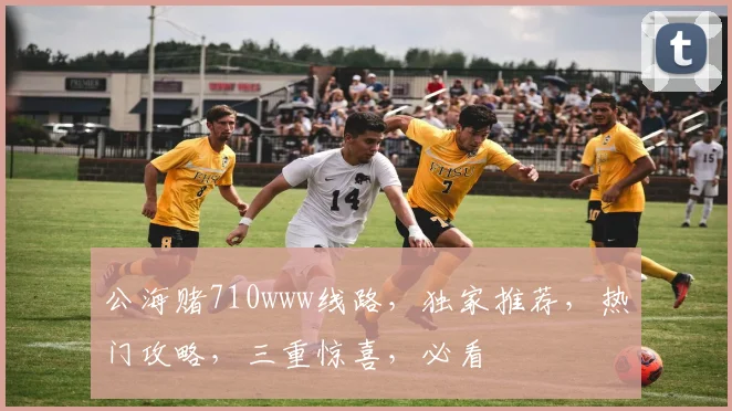 公海赌710www线路，独家推荐，热门攻略，三重惊喜，必看